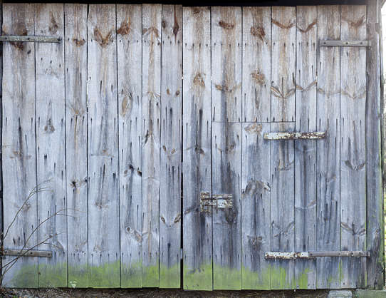 DoorsWoodBarn0038 - Free Background Texture - wood door old shed planks